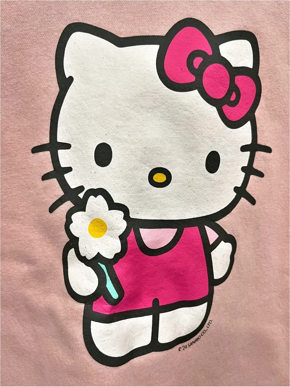 Hello Kitty x GAP Girls Pink Fleece Lined Hoodie Sweatshirt XL (12)